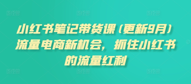小红书笔记带货课(更新25年6月)流量电商新机会，抓住小红书的流量红利-娱乐网赚