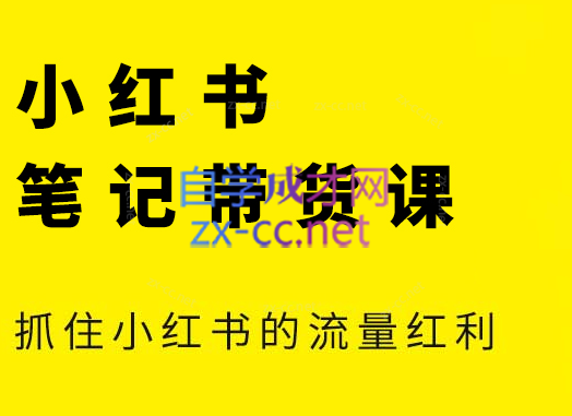 张宾·小红书笔记带货课(更新6月)-娱乐网赚
