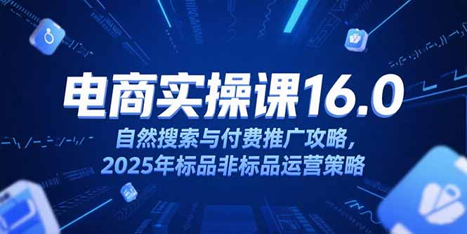 淘宝电商运营课16.0，自然搜索与付费推广攻略，2025年标品非标品运营策略-娱乐网赚