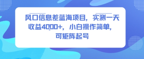 风口信息差蓝海项目，实测一天收益4k+，小白操作简单，可矩阵起号-娱乐网赚