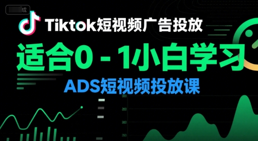 Tiktok短视频广告投放，适合0-1小白学习ADS短视频投放课-娱乐网赚