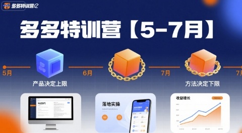 多多特训营【5-7月】产品决定上限，方法决定下限，各种玩法技巧落地实操-娱乐网赚