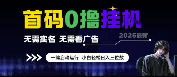 首码0撸挂G项目，无需实名无需看广告 一键启动运行，小白轻松日入三位数【揭秘】-娱乐网赚
