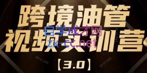 阿蔺Leo·跨境油管视频YouTube实训营(更新2025)-娱乐网赚