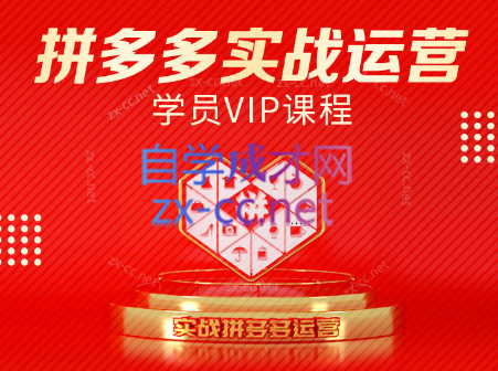 推易电商·拼多多实战运营课(更新2025月)-娱乐网赚