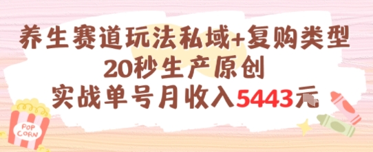 养生赛道玩法私域+复购类型，20秒生产原创实战单号月收入5k+-娱乐网赚
