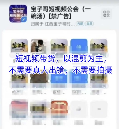 宝子哥头部团队短视频带货，以混剪为主，不需要真人出镜，不需要拍摄【更新6月】-娱乐网赚