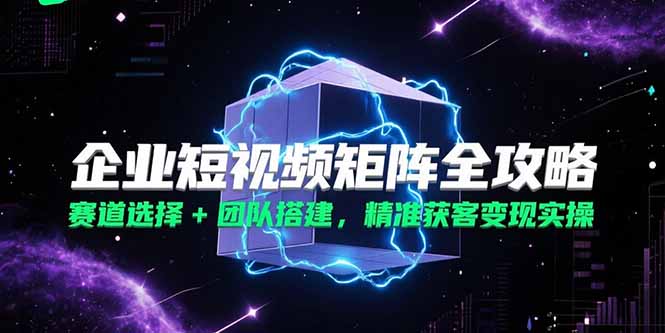 企业短视频矩阵全攻略，赛道选择+团队搭建，精准获客变现实操-娱乐网赚