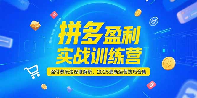 拼多多盈利实战训练营，强付费玩法深度解析，2025运营技巧合集-更新6月-娱乐网赚