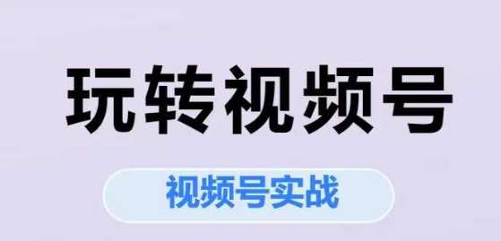 玩转视频号，视频号实战系列课-娱乐网赚
