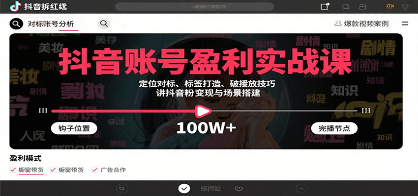 抖音账号盈利实战课，定位对标、标签打造、破播放技巧，讲涨粉变现与场景搭建-娱乐网赚