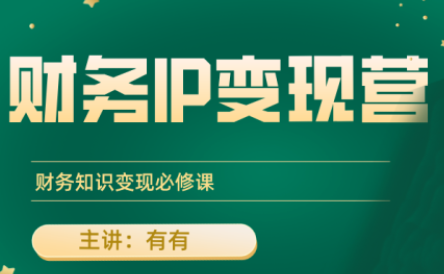 有有老师·财务IP变现营，财务知识变现必修课-娱乐网赚