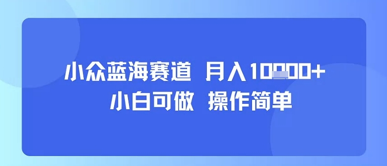 小众蓝海赛道，小白可做，操作简单，每天30分钟，月入1W+-娱乐网赚
