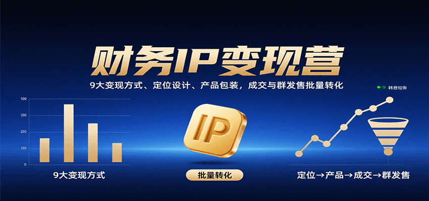 财务IP变现营：9大变现方式、定位设计、产品包装，成交与群发售批量转化-娱乐网赚