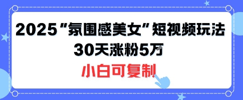 不露脸也能火！2025“氛围感美女”短视频玩法，30天涨粉5W小白可复制-娱乐网赚