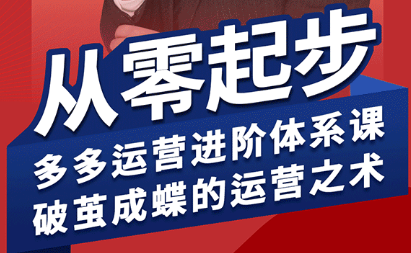 海神·拼多多运营进阶系统课(更新8月)-娱乐网赚