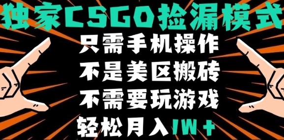 CSGO自动捡漏项目，最新独家玩法，不是美区搬砖，不需要了解和玩游戏，新手小白轻松月入1W+【揭秘】-娱乐网赚