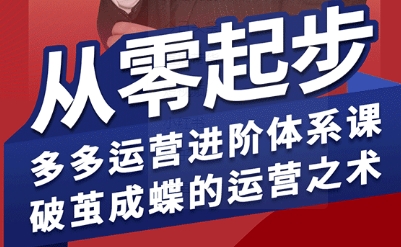 拼多多运营进阶系统课，从零起步，多多运营进阶体系课，破茧成蝶的运营之术-娱乐网赚