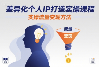 差异化个人IP打造实操课程，实操流量变现方法-娱乐网赚
