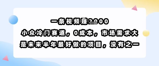 一条视频挣1k，小众冷门赛道，0成本，市场需求大，是未来半年最好做的项目，没有之一-娱乐网赚