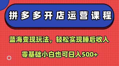 拼多多开店运营课程：蓝海变现玩法，轻松实现睡后收入，零基础小白也可日入5张-娱乐网赚