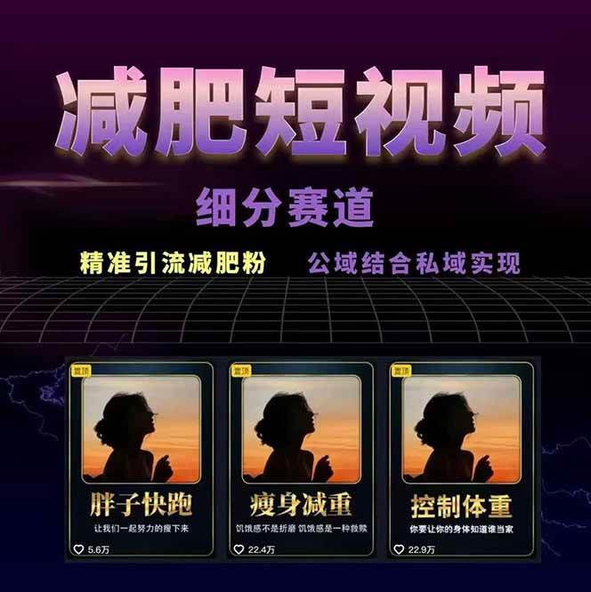 图片[2]-减肥短视频运营实战课：含素材制作、剪映教学，讲精准引流、变现设计与内容模板技巧-娱乐网赚