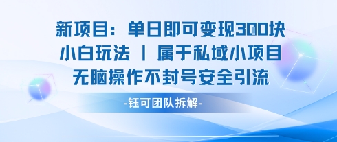 新项目单日即可变现3张的小白玩法无脑操作不封号安全引流-娱乐网赚