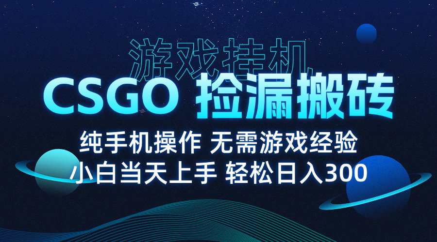 8月最新游戏搬砖，CSGO纯挂机，不需要玩游戏，实现真挂机，月入1W+-娱乐网赚