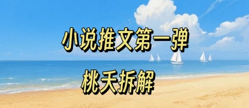 小说推文项目操作全流程第一弹，0粉就能做，门槛低非常适合新手-娱乐网赚