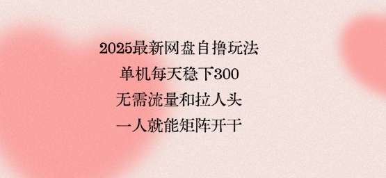 2025最新网盘自撸玩法，单机每天稳下3张，无需流量和拉人头，一个人就可轻松矩阵，全网独一份【揭秘】-娱乐网赚