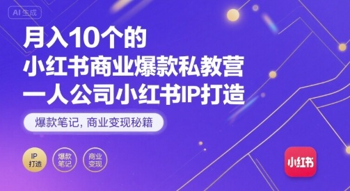 月入10个的小红书商业爆款私教营，一人公司小红书IP打造，爆款笔记，商业变现秘籍-娱乐网赚