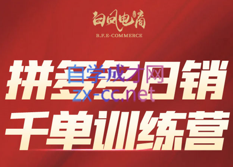 白凤电商·拼多多日销千单训练营(更新8月)-娱乐网赚