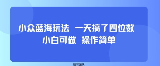 小众蓝海玩法 一天搞了四位数 小白可做 操作简单-娱乐网赚