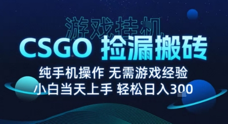 8月最新游戏搬砖，CSGO纯挂G，不需要玩游戏，实现真挂G，月入1W+【揭秘】-娱乐网赚