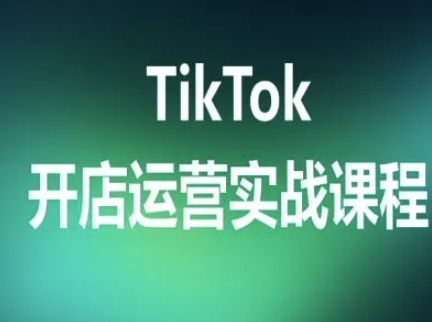 TikTok开店运营实战课程，TK跨境电商实操全流程-娱乐网赚