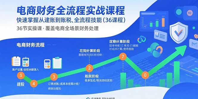 电商财务全流程实战课程：快速掌握从建账到报税的全流程技能(36节课-娱乐网赚
