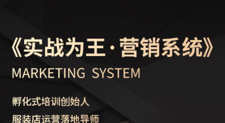 老杨·服装老板必修课《实战为王-营销系统》实现业绩被动式增长-娱乐网赚