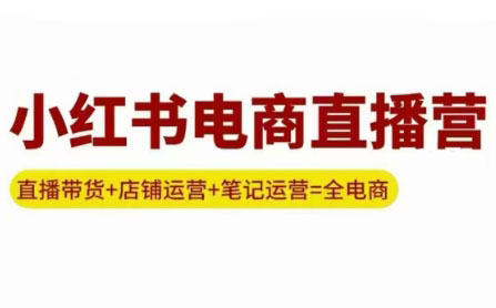 申铭老师·小红书电商直播营(更新)-娱乐网赚