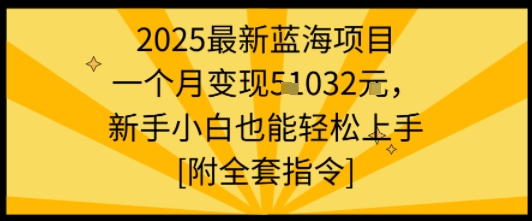 2025最新蓝海项目一个月变现1w+新手小白也能轻松上手【附全套指令】-娱乐网赚