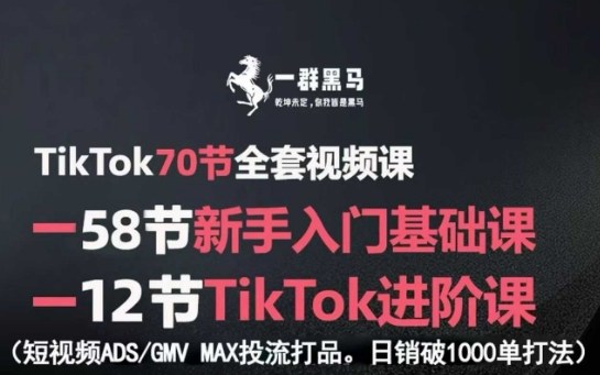 TikTok全套视频课，新手入门+进阶课，短视频ADS-GMV MAX投流打品，日销破1000单打法-娱乐网赚