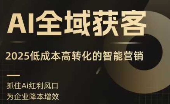 AI全域获客实训营，2025低成本高转化的智能营销，精准找客，高效营销-娱乐网赚