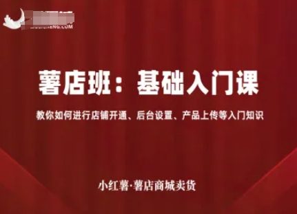 小红薯薯店商城卖货，基础入门课，教你如何进行店铺开通、后台设置、产品上传等入门知识-娱乐网赚