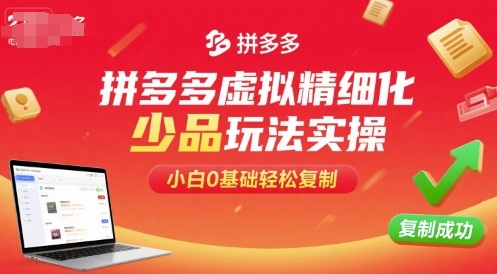 拼多多虚拟精细化少品玩法实操，小白0基础轻松复制-娱乐网赚